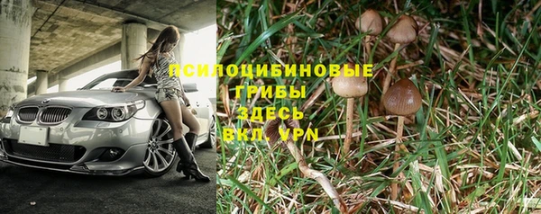 mdpv Майский